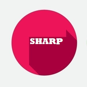 Cinghia di trasferimento Sharp